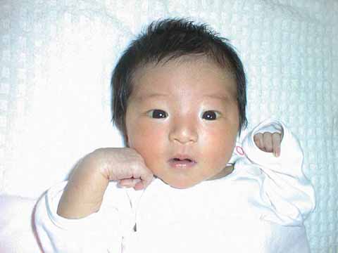 �Ȃ������Q�@19KB