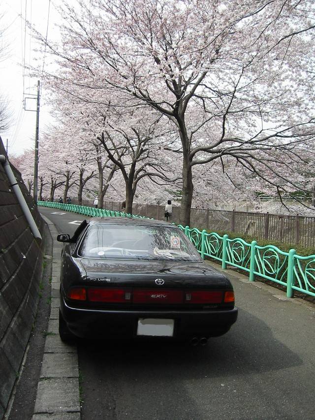 2003/04/01 SAKURA