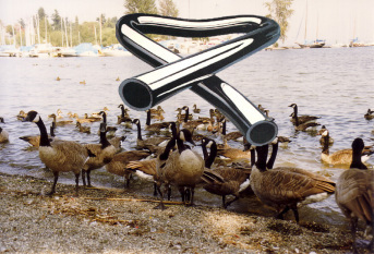 tubular bells above the washinton lake