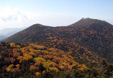 紅葉の金峰山