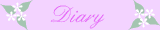 diary