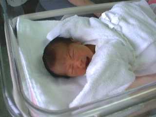 ���������@8KB