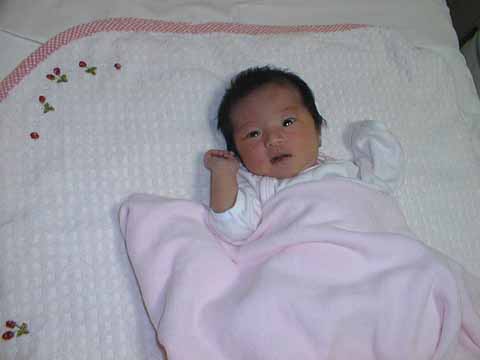 �Ȃ������P�@17KB