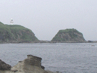 蓔