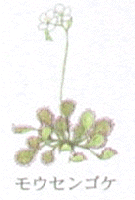 �ǂ�����