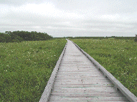 �ؓ�1