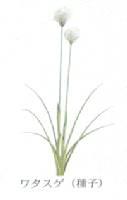 �킽����