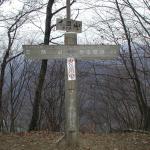 �C���R