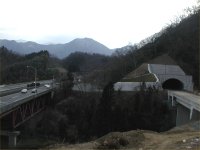 glH