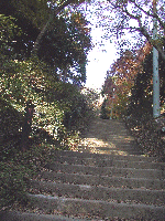 ����
