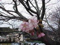 ������ƁE�E�����������ȁH