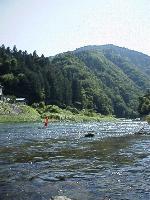 水は澄んでいました