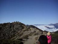 �R���͊��������Ȃ�