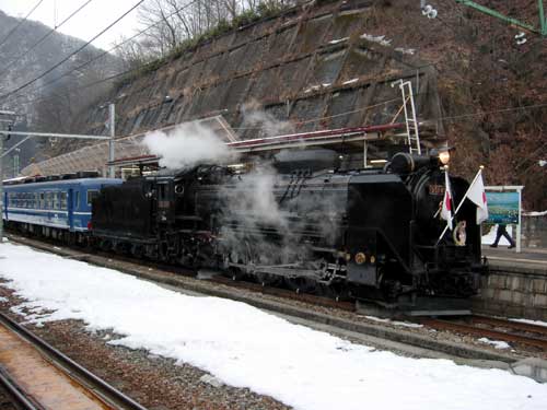 D51